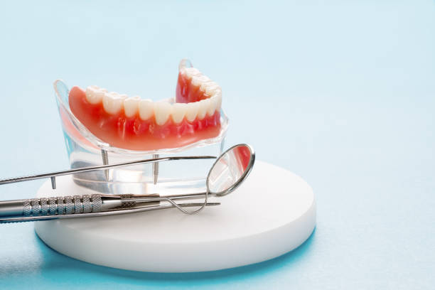 Best Periodontal (Gum) Disease Treatment  in Cohoes, NY